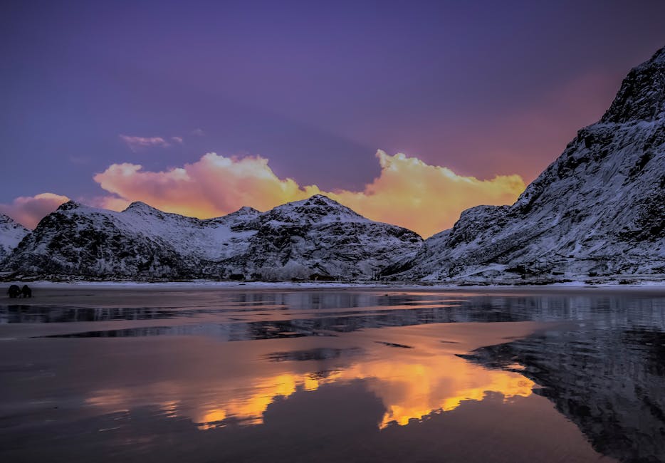 Aerial view of a rusty ship navigating the calm, icy waters of an Arctic seascape.
