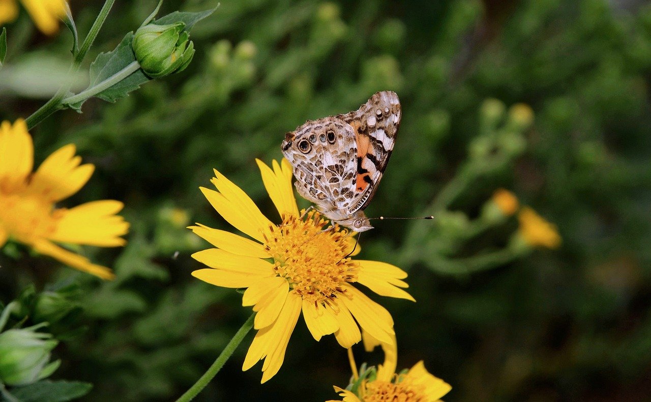 「育ちが良さそう」と言わせる。オールドマネーな髪型メンズ完全ガイド【セット方法・整髪料】