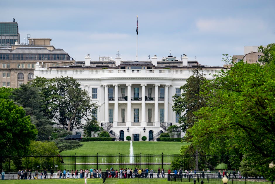 A scenic view of The White House, a renowned landmark in Washington, DC, surrounded by greenery and tourists.